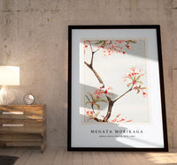 
              Megata Morikaga - Sakura cherry during 1870–1880
            
