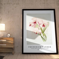 Frederick Sander - Cattleya labiata from Reichenbachia Orchids-1847-1920