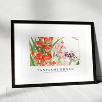 Tanigami Konan - Vintage gladiolus & schizanthus flower
