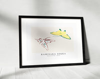 
              Kamisaka Sekka - Abstract Butterfly 1904 (3)
            