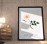 
              Mary Altha Nims - Wild Rose
            
