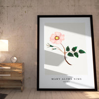 Mary Altha Nims - Wild Rose