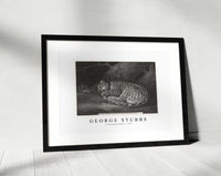 
              George Stubbs - A Sleeping Leopard 1791
            