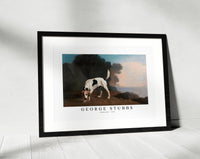 
              George Stubbs - Foxhound 1761
            