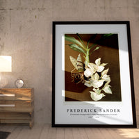 Frederick Sander - Catasetum bungerothii from Reichenbachia Orchids-1847-1920