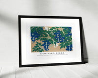 
              Kamisaka Sekka - Wisteria from Momoyogusa–Flowers of a Hundred Generations (1909)
            