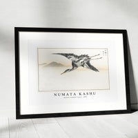 Numata Kashu - Eastern Common Crane illustration from Pictorial Monograph of Birds (1885)