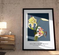 
              Ogawa Kazumasa - Lilies collotype from Japan. Described and Illustrated by the Japanese (1897)
            