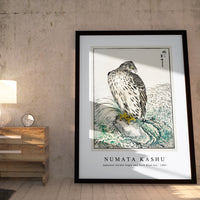 Numata Kashu - Japanese Golden Eagle and Dark Blue Sea illustration from Pictorial Monograph of Birds (1885)