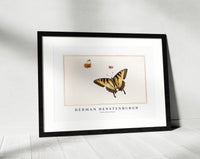 
              Herman Henstenburgh - Three Butterflies
            