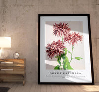 
              Ogawa Kazumasa - Beautiful photomechanical prints of Three Pink Chrysanthemum (1887–1897)
            