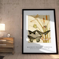 Maurice Pillard Verneuil - Papillons from L'animal dans la décoration (1897)