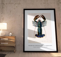
              Charles Dessalines D'Orbigny - Crimson Crawfish (Palemon Ornatum)
            