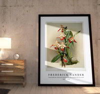 
              Frederick Sander - Cypripedium lemoinierianum from Reichenbachia Orchids-1847-1920
            