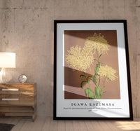 
              Ogawa Kazumasa - Beautiful photomechanical prints of Three Yellow Chrysanthemums (1887–1897)
            
