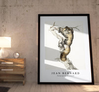 
              Jean Bernard - Flying squirrel, on a branch
            