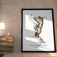 Jean Bernard - Flying squirrel, on a branch