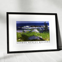 George Wesley Bellows - Vine Clad Shore, Monhegan Island 1913