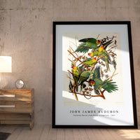 John James Audubon - Carolina Parrot from Birds of America (1827)