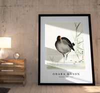 
              Ohara Koson - Moorhen (1900 - 1930) by Ohara Koson (1877-1945)
            