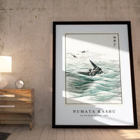 Numata Kashu - Riu Kiu House Swallow illustration from Pictorial Monograph of Birds (1885)