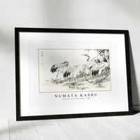 Numata Kashu - Japanese Crane and Bamboo illustration from Pictorial Monograph of Birds (1885)