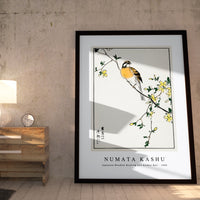 Numata Kashu - Japanese Meadow Bunting and Golden Ball illustration from Pictorial Monograph of Birds (1885)