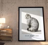 
              Jean Bernard - Sitting cat (1815)
            