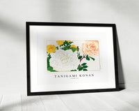 
              Tanigami Konan - Vintage rose
            