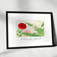 Tanigami Konan - Zinnia & white ginger lily flower