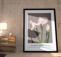 
              Ogawa Kazumasa - Beautiful photomechanical prints of White Irises (1887–1897)
            