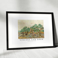 Vincent Van Gogh - The Olive Orchard 1889