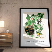 John James Audubon - Baltimore Oriole from Birds of America (1827)