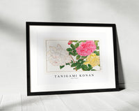 
              Tanigami Konan - Rose flower
            