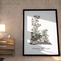 Johan Teyler - Blooming thistles