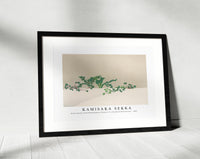 
              Kamisaka Sekka - Green plants from Momoyogusa–Flowers of a Hundred Generations (1909)
            