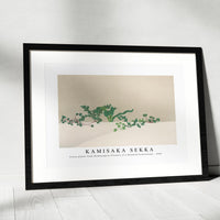 Kamisaka Sekka - Green plants from Momoyogusa–Flowers of a Hundred Generations (1909)