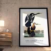 John James Audubon - Black-bellied Darter from Birds of America (1827)