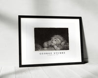 
              George Stubbs - A recumbent Lion 1788
            