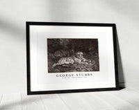 
              George Stubbs - A Tiger and a Sleeping Leopard 1788
            