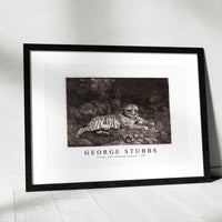 George Stubbs - A Tiger and a Sleeping Leopard 1788