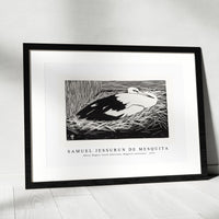 Samuel Jessurun De Mesquita - White Maguar Stork (Ooievaar, Magoear–ooievaar) (1914)