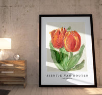 
              Sientje Van Houten - Two Red Tulips
            
