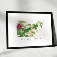 Tanigami Konan - Lilac flower