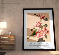 
              Ogawa Kazumasa - Beautiful photomechanical prints of Striped Camellias (1887–1897)
            
