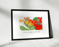 
              Tanigami Konan - Vintage canna flower
            