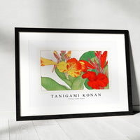 Tanigami Konan - Vintage canna flower