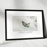 Numata Kashu - Spectacled Teal and Snow-bent Bamboo illustration from Pictorial Monograph of Birds (1885)