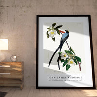 John James Audubon - Fork-tailed Flycatcher from Birds of America (1827)