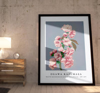 
              Ogawa Kazumasa - Beautiful photomechanical prints of Cherry Blossom (1887–1897)
            